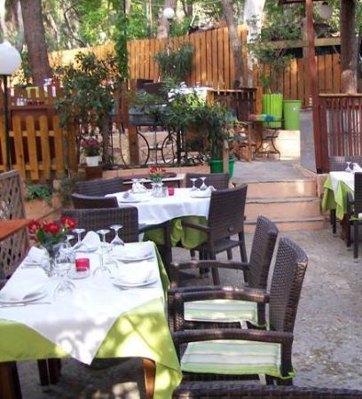 Saloon Piano Bar Restaurant